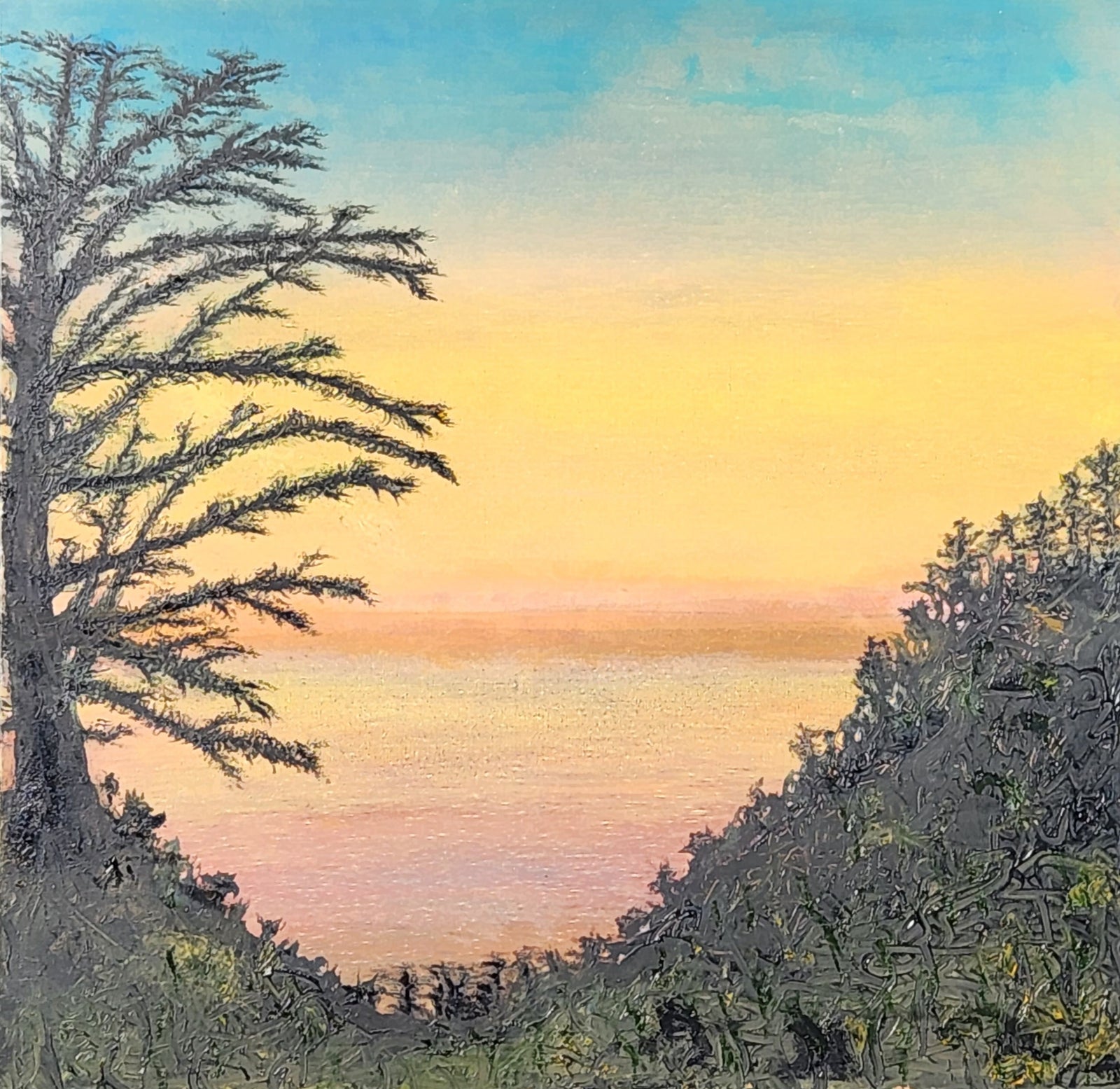 Big Sur with Redford