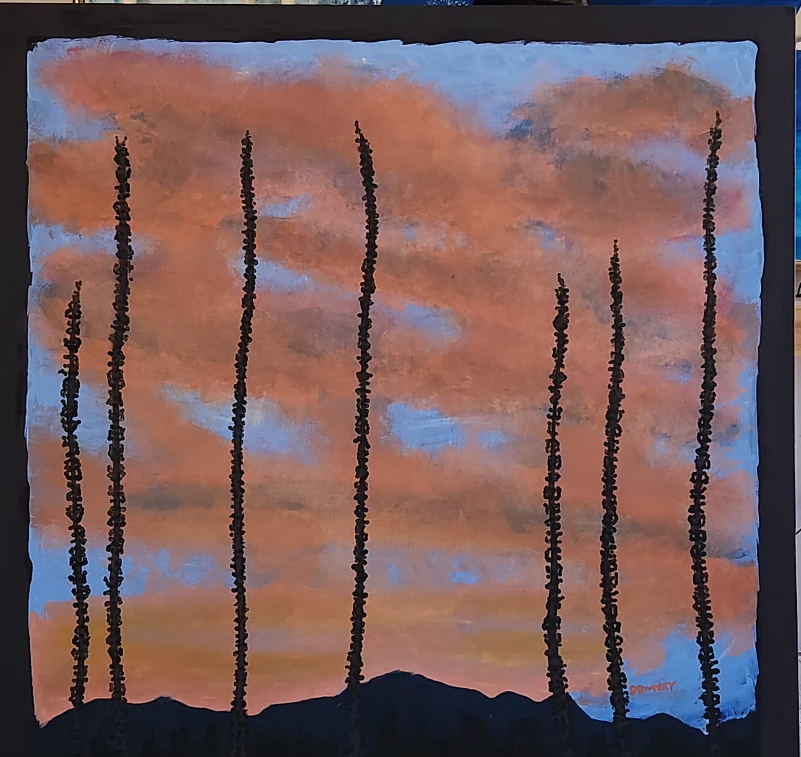 Ocotillo Silhouette