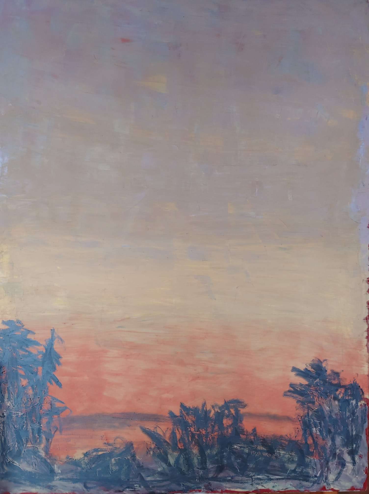 Silhouette, Eucalyptus Grove